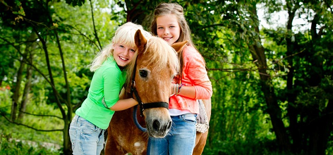 kidsproof uitjes in de Kop van Noord-Holland